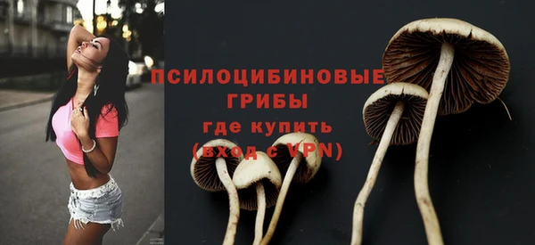 гашиш Майский