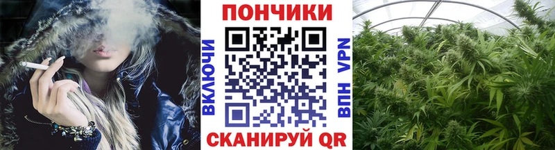 купить наркоту  Бобров  Каннабис Ganja 